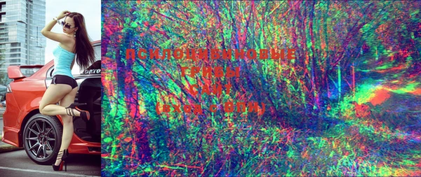 круглые Коряжма